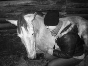 Прогулки на лошадях по лесу/городу/пляжу