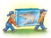 Перевозка мебели пианино и другое