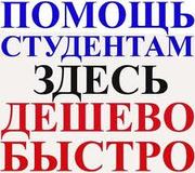 ВЫПОЛНЯЮ НА ЗАКАЗ КОНТРОЛЬНЫЕ,  КУРСОВЫЕ,  ДИПЛОМНЫЕ РАБОТЫ И Т.Д.