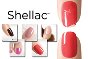 Покриття Shellac. Покриття гель-лаком Shellac. Недорого! Shellac. New.