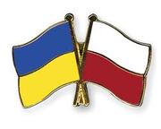 Переводчик с польского языка