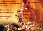 Все виды юридических услуг