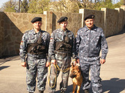 Охрана и безопасность