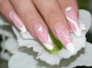 СТУДИЯ-КУРСЫ ПРИГЛАШАЕТ НА ИНДИВИДУАЛЬНОЕ ОБУЧЕНИЕ