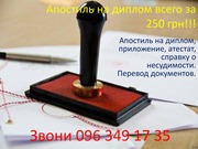 Апостиль на образовательные документы и перевод документов