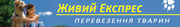 Перевозка животных по Украине и за границу