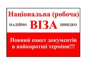 Робоча віза