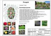 Консультую та розробляю раціональний ландшафтний дизайн 