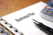Составление бизнес-планов,  привлечение капитала,  стратегическое планирование.