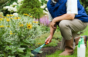 Boarding Gardener in Switzerland