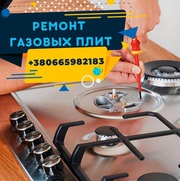 Ремонт газовых котлов,  плит,  колонок