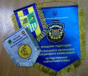 Вымпелы с логотипом,  печать на вымпелах