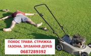 Покіс трави: Київ,  Київська область та Біла Церква. Швидко,  якісно,  до